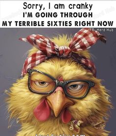 Chicken Wisdom, Getting Older Quotes, Humor Pictures, Senior Humor, Work Funny, Funny Animals With Captions, Afternoon Quotes, Odd Things