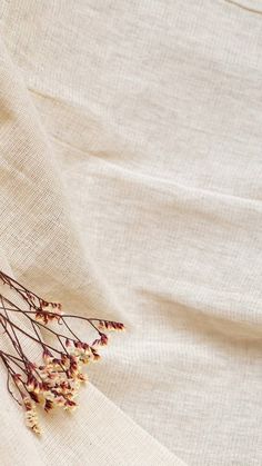 dried flowers are laying on a white linen material, with the fabric partially covering it