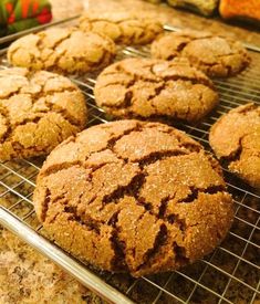 some cookies are cooling on a wire rack