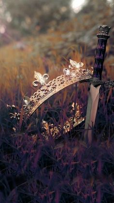 Crown Fantasy Aesthetic, Princess Archery Aesthetic, Medieval Warrior Princess Aesthetic, Royal Warrior Aesthetic, Royal Nature Aesthetic, Faerie Realm Aesthetic, Fallen Princess Aesthetic, Royal Fae Aesthetic, Royal Crown Aesthetic King