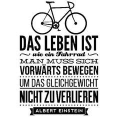 Cycle Shop, Image Stickers, Bike Store, Albert Einstein, Einstein, Hand Lettering, Words Of Wisdom, Keep Calm Artwork, Novelty Sign