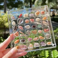 a person holding up a plastic container with shells in it's tray and plants behind them