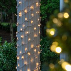 the lights are hanging on the side of a tree in front of some shrubbery