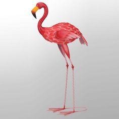 a pink flamingo standing on one leg