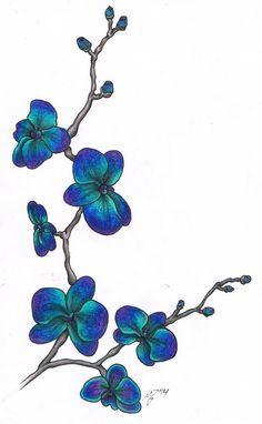 a drawing of blue flowers on a white background