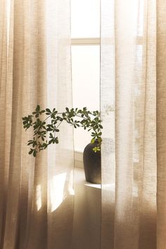 a potted plant sitting on top of a window sill next to a curtain