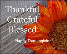 a large sunflower sitting on top of a wooden table next to a bench with the words, happy thanksgiving grateful blessing