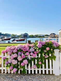 a white picket fence with pink flowers growing on it and boats in the water behind it