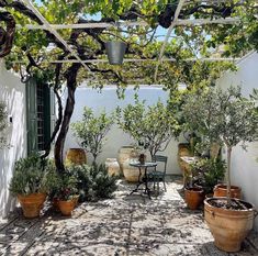 an outdoor patio with potted plants and tables