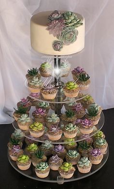 a tiered cake with cupcakes and succulents on it