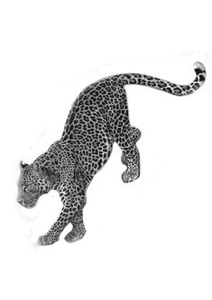 a black and white drawing of a leopard