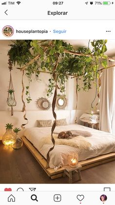 a bed with plants hanging from the ceiling