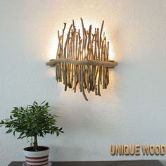 a potted plant sitting on top of a wooden table next to a wall light