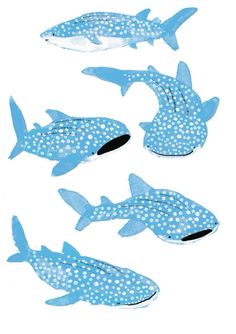 four blue and white fish with spots on them