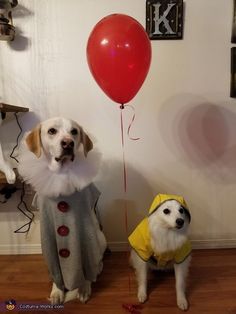 two dogs are dressed up as clowns and balloons