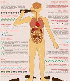 These creative infographics deliver tons of useful facts in a pretty, easy-to-follow package. Fitness Lady, Health Images, Body Fitness, Body And Mind, Detox Smoothie, Soft Drinks, Alternative Medicine