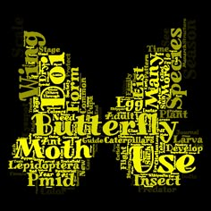 a butterfly shaped word cloud in yellow and white