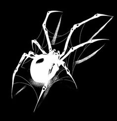 a black and white image of a spider