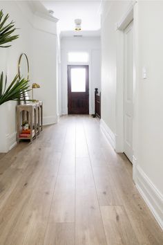 an empty hallway with wooden floors and white walls, plants on the side table in front of the door