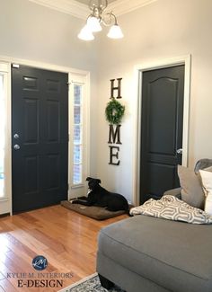 a black dog laying on top of a rug in front of a gray couch and door