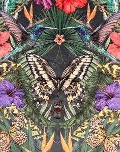 a painting of butterflies and flowers on a black background