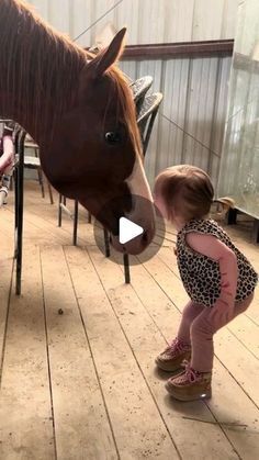 Funny Horse Videos, Funny Horse Pictures, Cute Horse Pictures, Horse Videos, Baby Horses, Funny Horse, Black Kids Hairstyles, Things To Do At A Sleepover, Braided Hairstyles For Wedding