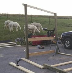 some sheep are grazing in a field behind a work bench and fenced off area