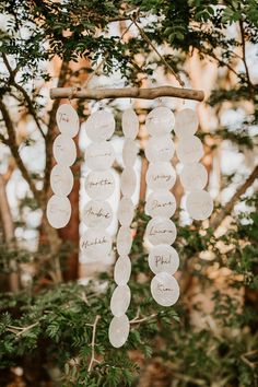 "Looking for a unique way to greet your guests and help them find their seats?  This handmade driftwood wall hanging featuring translucent capiz shells will add that special touch you are looking for! This wall hanging won't just be one of those one time use things either, the table numbers and names are removable so you can hang it in your house as wall decor after the wedding and enjoy it for years to come! This listing is for driftwood wall hangings containing table numbers and names for 80 guests. Each piece of driftwood is locally sourced and handpicked so sizes and shapes will vary, that is what makes each one special!  *The number of tables that will be able to fit onto each piece of driftwood will vary depending on the size of the driftwood.  ITEM DETAILS ~3\" Capiz shells ~Hand pi Driftwood Wedding Decor, Wedding Guest Seating Chart, Wedding Guest Seating, Guest Seating Chart, Driftwood Wedding, Glass Vases Wedding, Driftwood Wall Hanging, Wedding Wishlist, Table Seating Chart