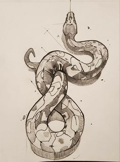 a pencil drawing of a snake on paper