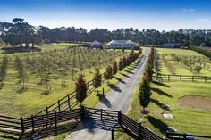 an aerial view of a farm with trees in the foreground and a road running through it