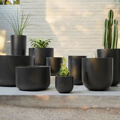 there are many black planters on the concrete