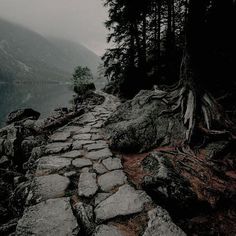 a stone path leading to a lake surrounded by trees in the foggy mountainside