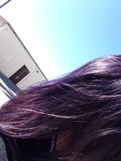 Dark Purple Tinted Hair, Unbleached Hair Color, Purple Dark Hair, Dark Lavender Hair, Purple Hair Dark, Midnight Purple Hair, Purple Black Hair, Dark Purple Hair Color