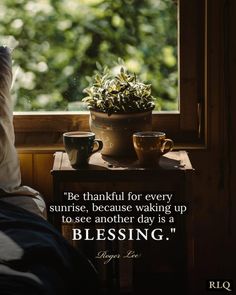 there is a potted plant sitting on a table next to a window with a quote about being grateful