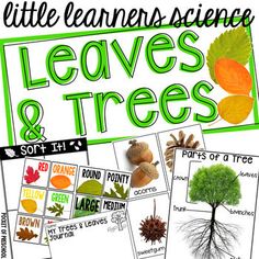 leaves and trees activities for kids to learn about the different types of plants in their life cycle