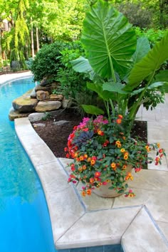 a planter filled with colorful flowers next to a swimming pool in a tropical garden