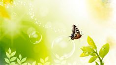 an image of a butterfly flying over a leafy plant with bubbles in the air