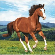 a brown horse running across a lush green field