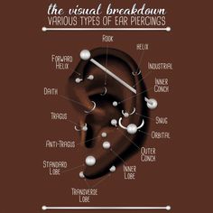 the different types of ear piercings are shown in this graphic above it is an image of