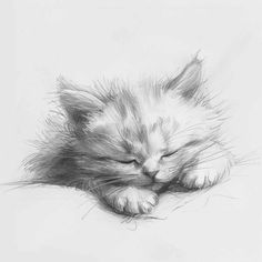 a black and white drawing of a kitten sleeping