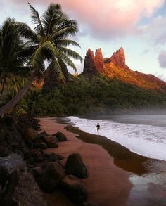 a person walking on the beach next to some palm trees and water with mountains in the background