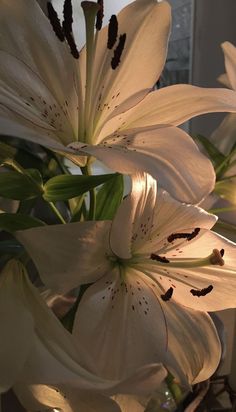 some white flowers are in a glass vase