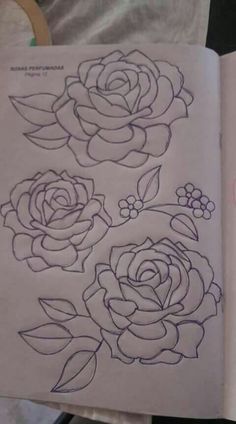 an open book with drawings of roses on it