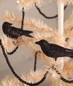 two black birds sitting on top of a christmas tree