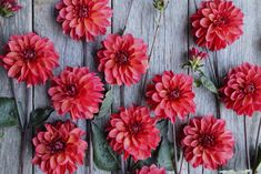 red flowers are arranged on a wooden surface