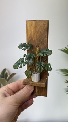 a hand holding a plant in a wooden holder