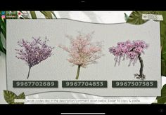 four different types of flowers are shown in this screenshot from the webpage,