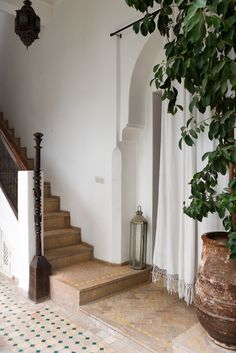 an indoor area with stairs, potted plant and tiled flooring in front of white walls