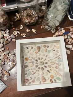 there are many sea shells on the table