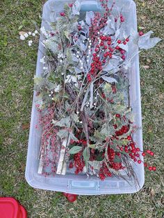 a plastic container filled with lots of different types of plants and berries on the ground